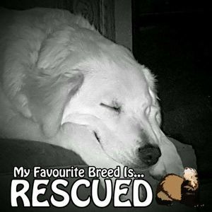 Meet your Posher, Mandy